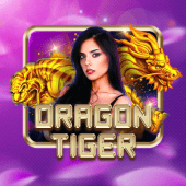 Dragon Tiger game booster live casino